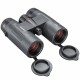 Prismático BUSHNELL NITRO - 10x36 negro