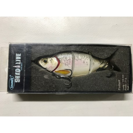 Izumi Shad live